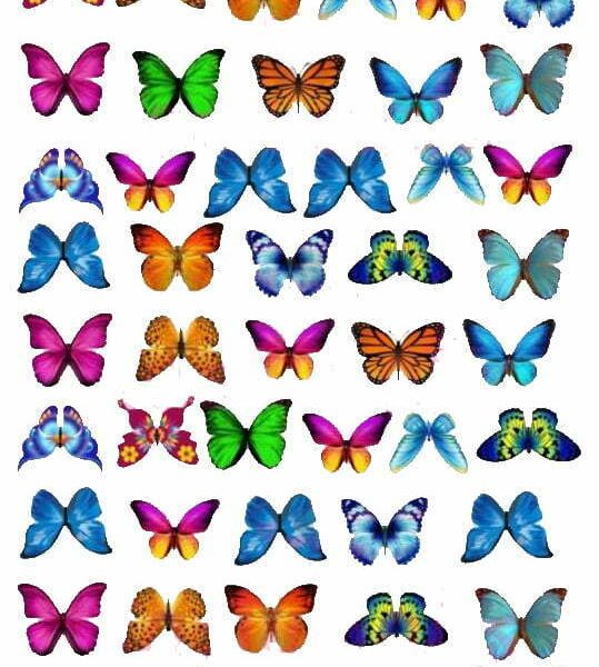 Wafer Paper Butterfly (multi colour)