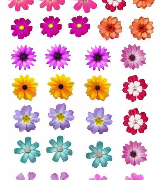 Wafer Paper Flowers (multi colour)